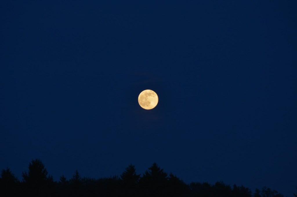 Le cahier de La Pierre qui vire de Michel&nbsp;Vray