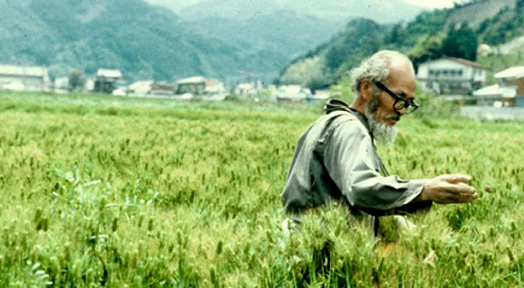 La révolution d&rsquo;un seul brin de paille (Masanobu&nbsp;Fukuoka)