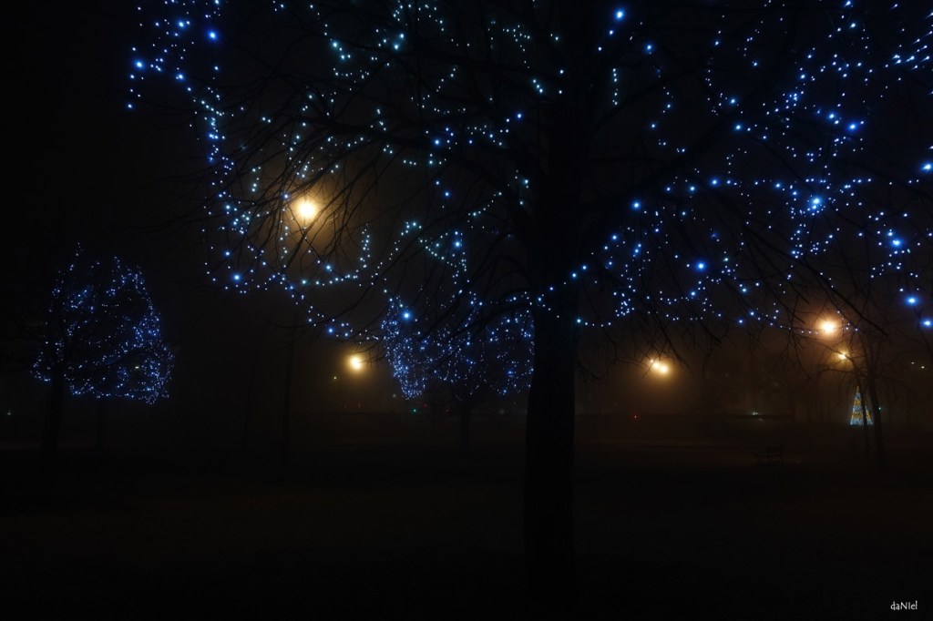 Connexion (Kae Tempest)